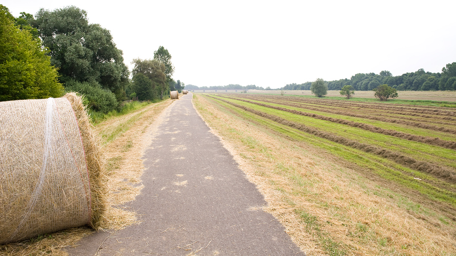 sm-aw-12.07.20130049