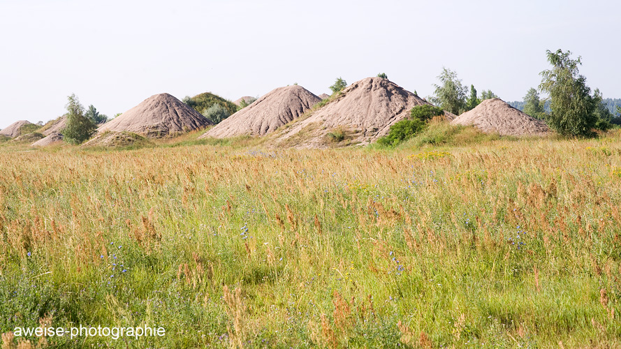 sm-aw-28.07.20130182