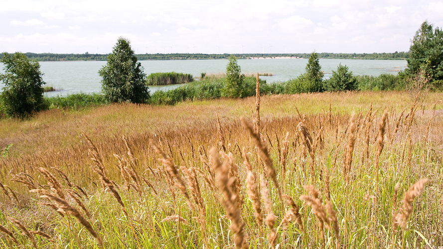 sm-aw-28.07.20130350