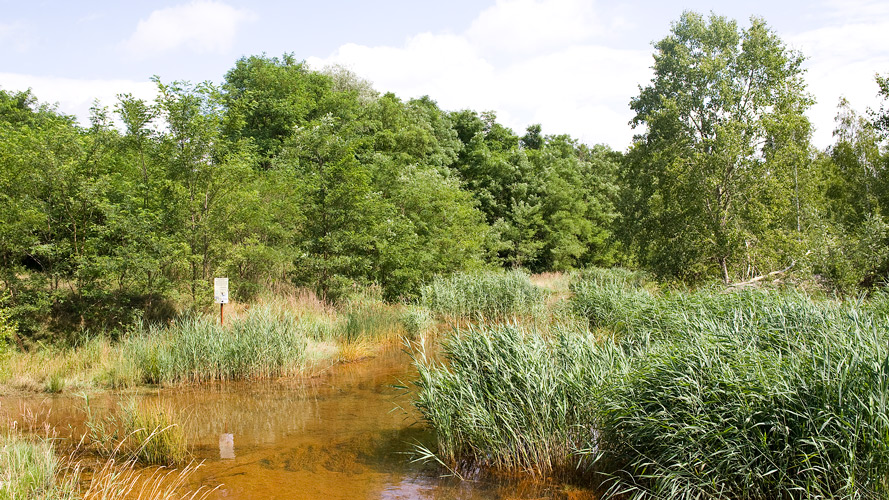 sm-aw-28.07.20130364