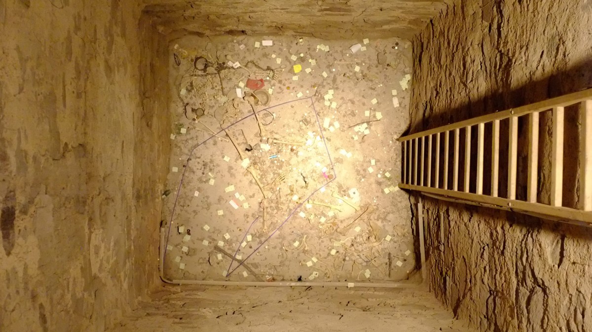 sm-aw-15.09.20131189