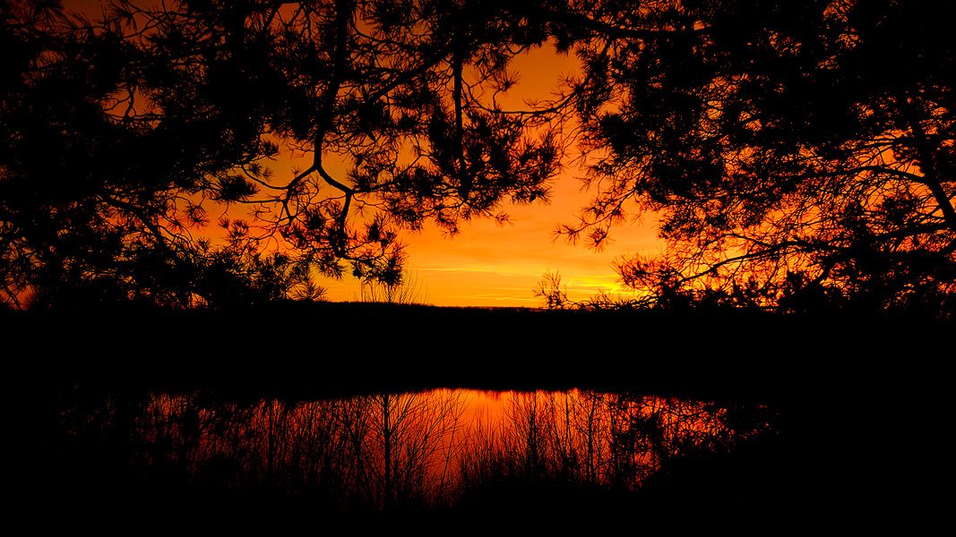 Fuji XE 1 + XF 14/2.8