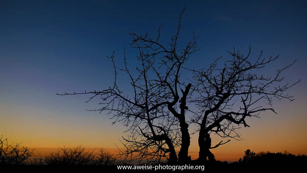 Sonnenaufgang , Fuji XE 1