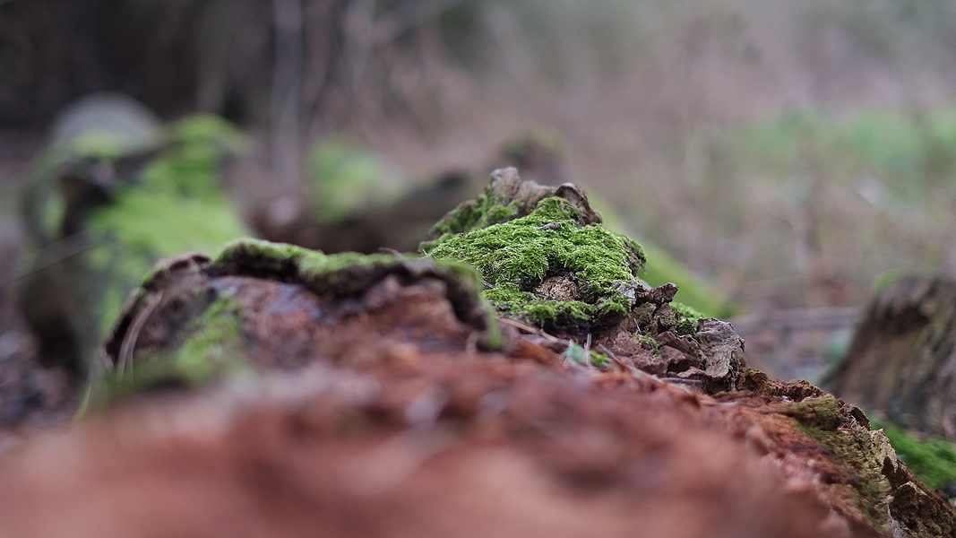 Fujinon XF 35/1.4 bei Blende 1.4