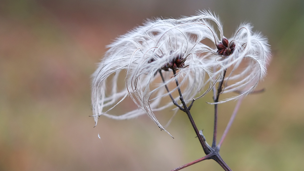 Fujinon XF 35/1.4 bei Blende 3.2