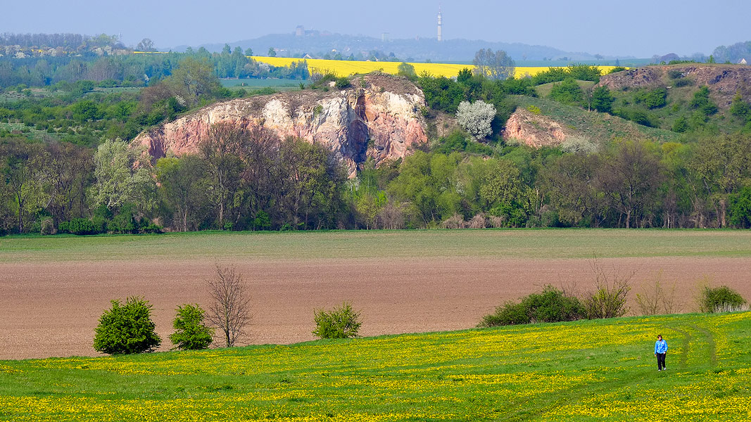 Blick von den Lunzbergen über die Brachwitzer Alpen zum Petersberg