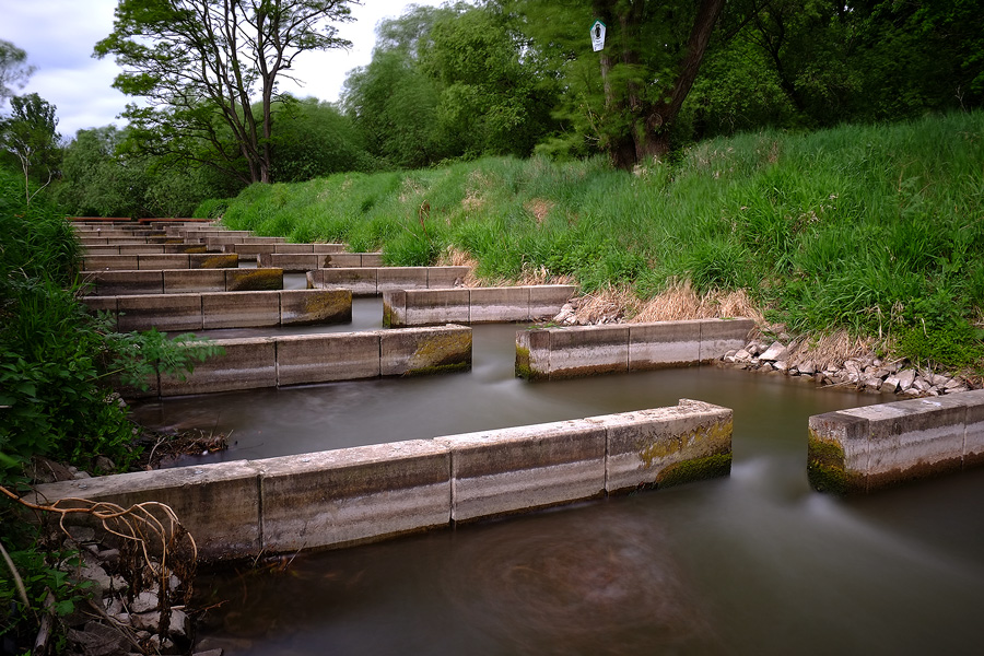 04.05.2014 , Saaleaue