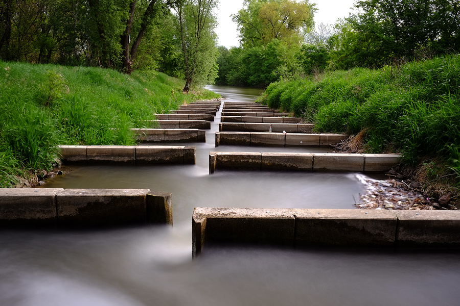 04.05.2014 , Saaleaue