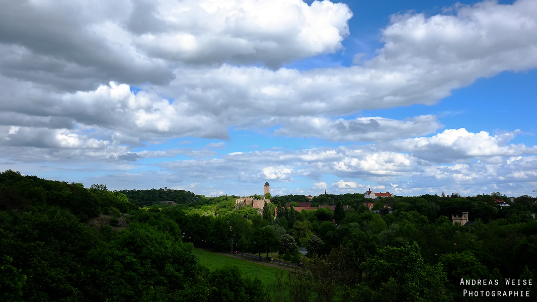 Saaletal mit Burg Giebichenstein vom Amselgrund gesehen