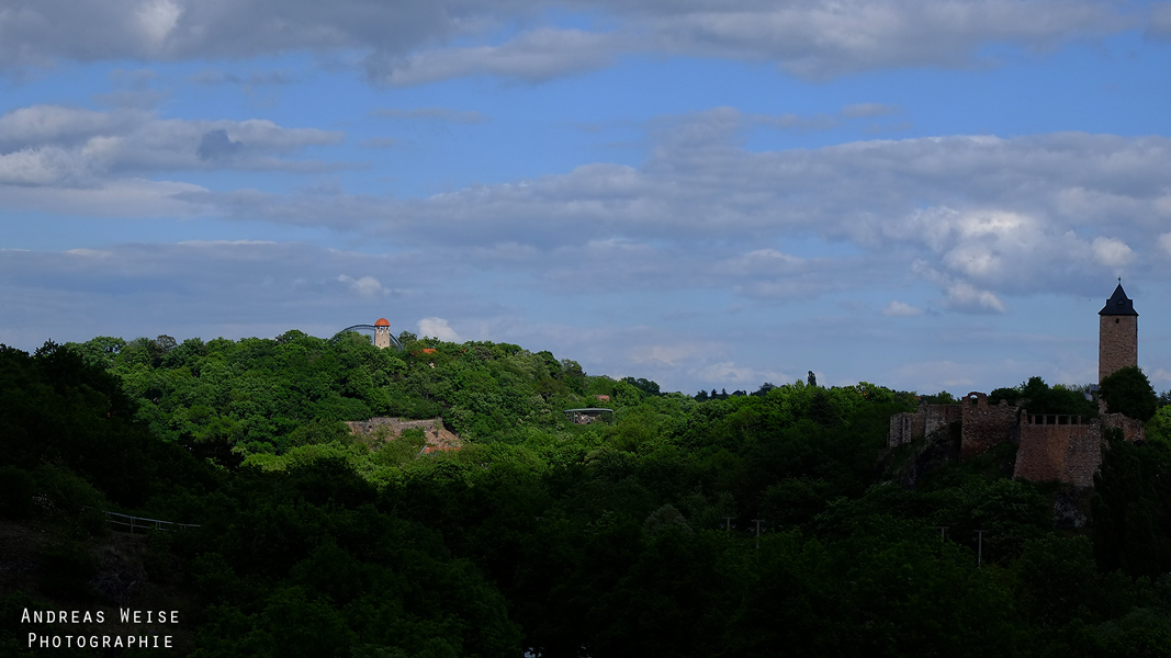 Bergzoo Halle mit der Burg