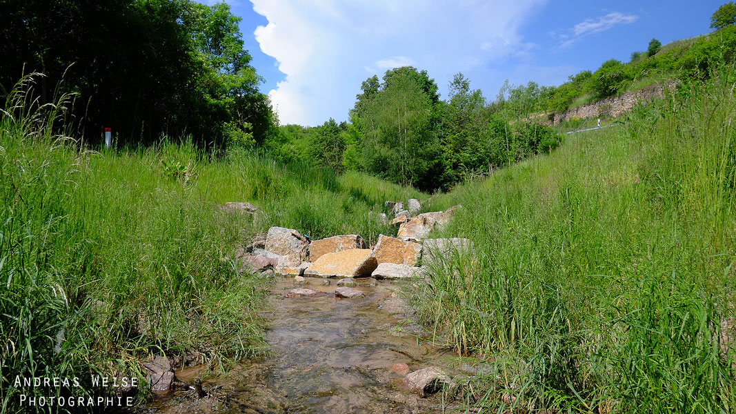 Wellbach bei Höhstedt