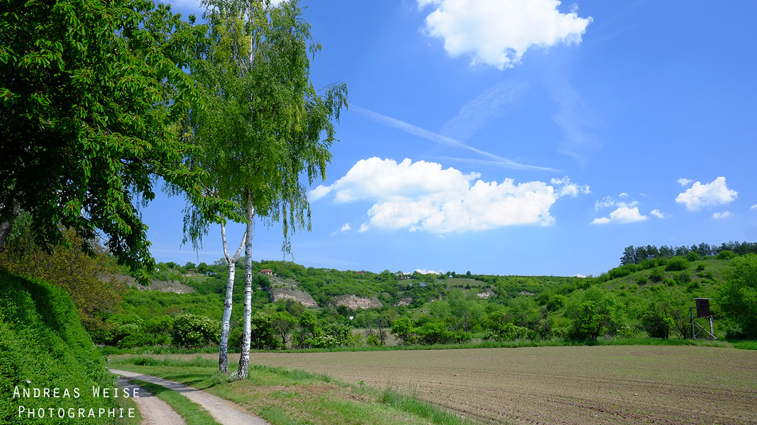 Blick Richtung Langenbogen