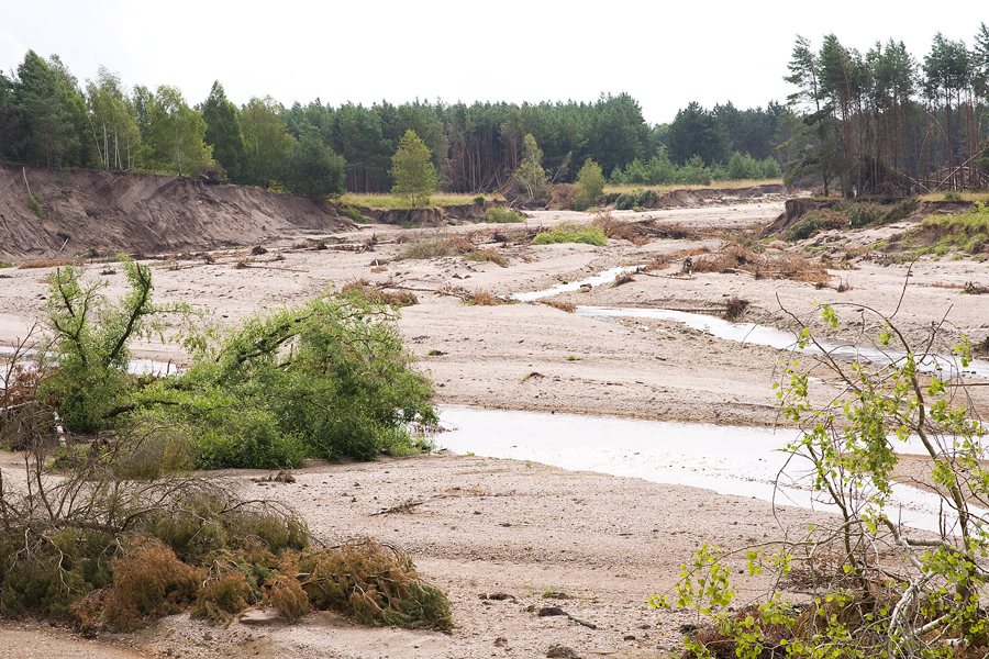 sm-aw-28.07.20130257om