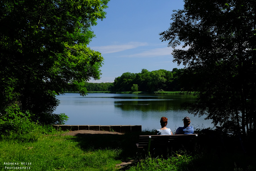 Blick auf den Großen Mühlteich