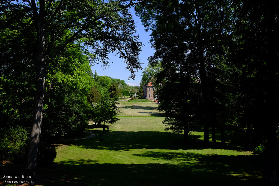 Blick in den Schloßpark Dieskau
