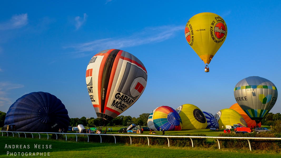 Balloonfiesta Halle 2014
