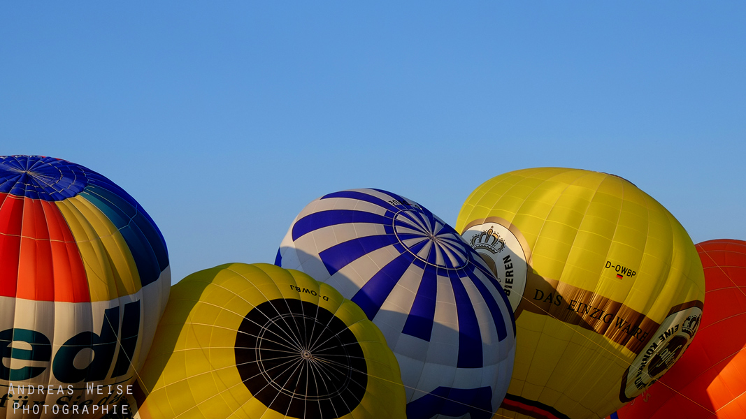 Balloonfiesta Halle 2014