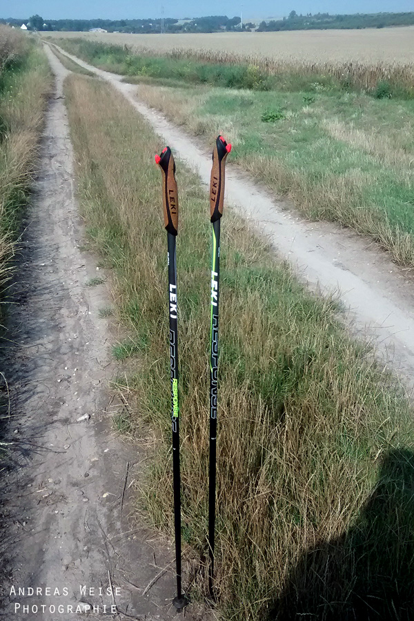 IMG_20140727_094840073[1]