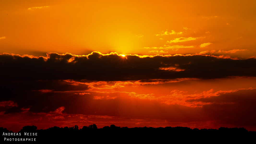 Lieskau , Blick Richtung Köllme