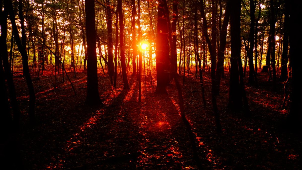 Fotograf,Andreas,Weise,Fuji,Natur,Halle