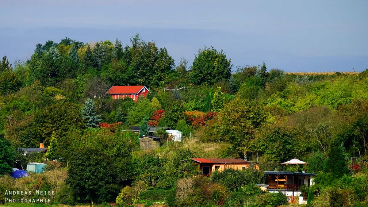 Andreas,weise,fotograf,fuji,halle