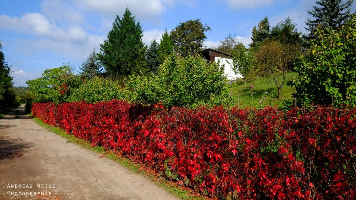 Andreas,weise,fotograf,fuji,halle