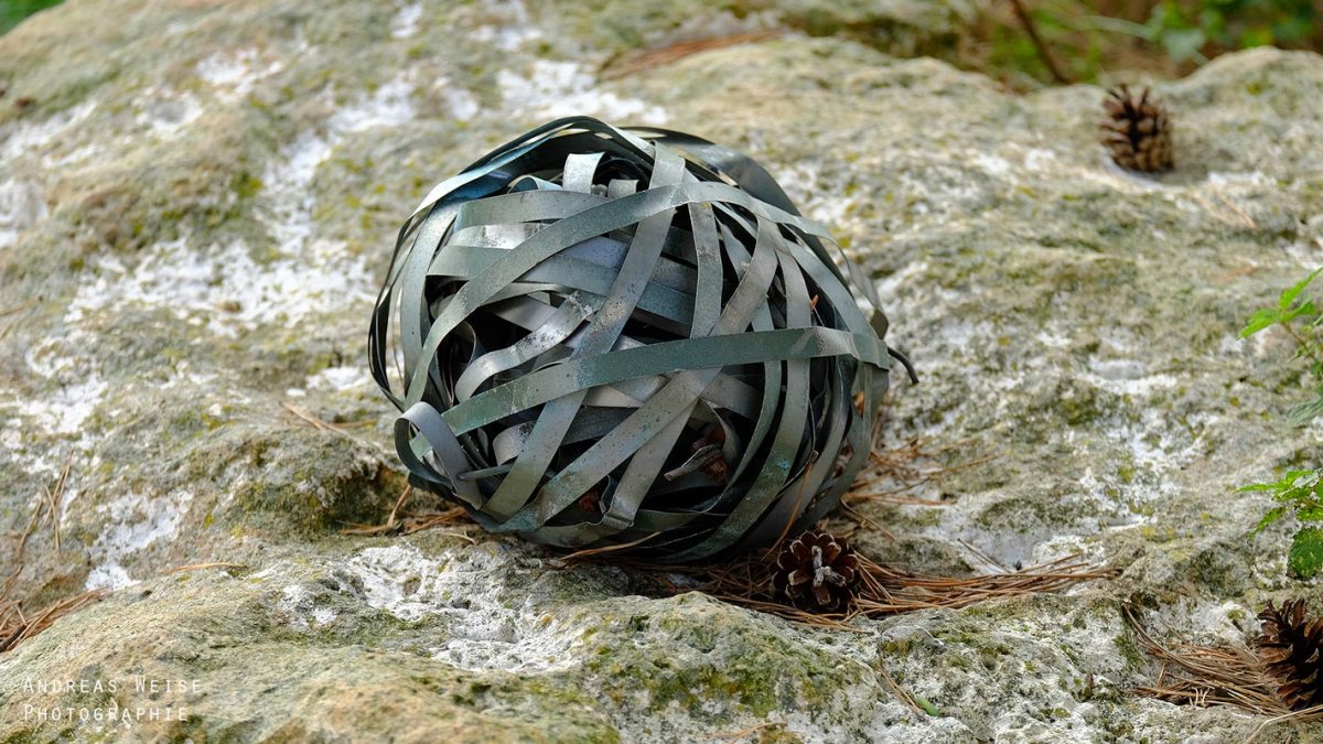 Andreas,weise,fotograf,fuji,halle