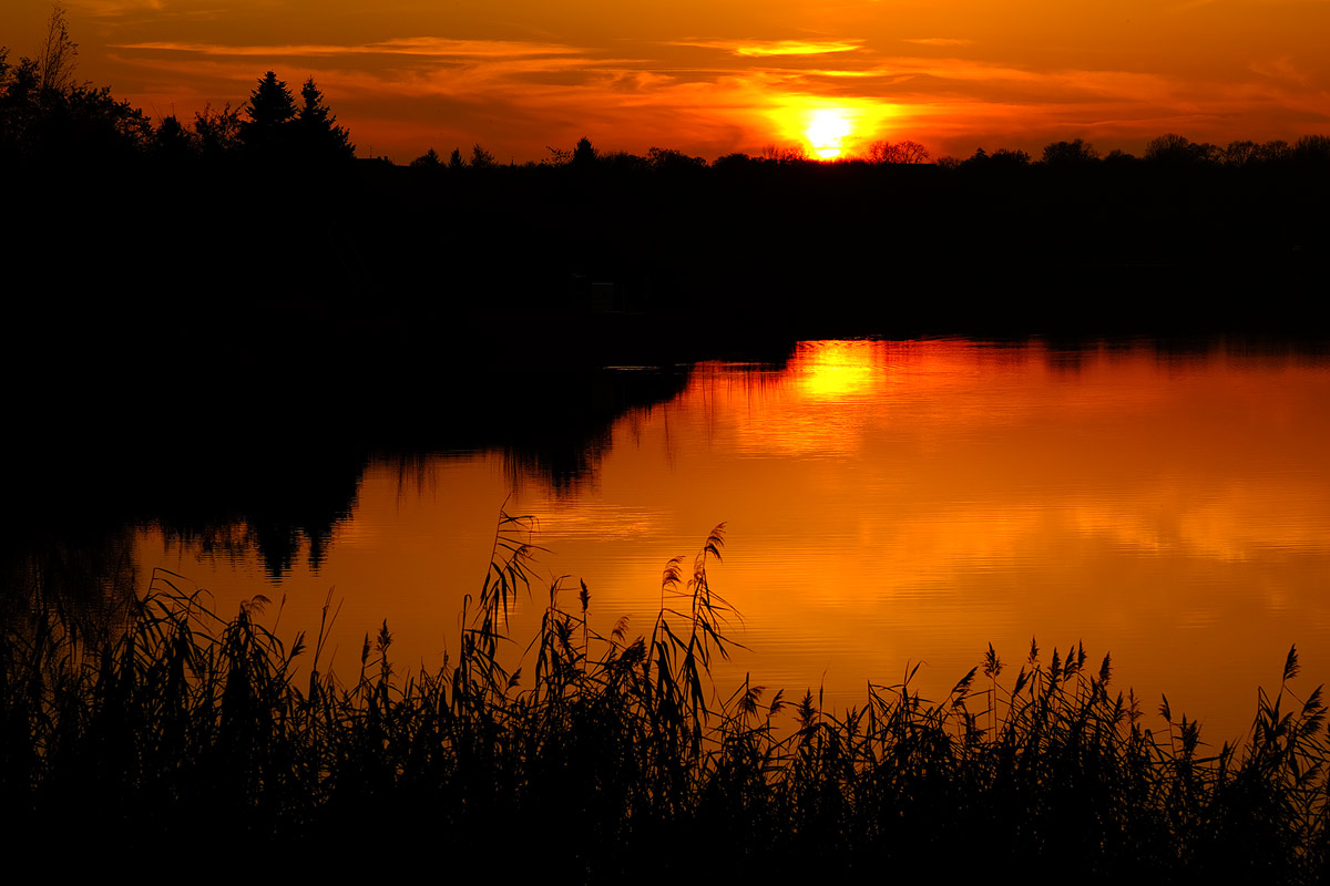 andreas,weise,fotograf,halle,fujinon,56,1.2,offenblende