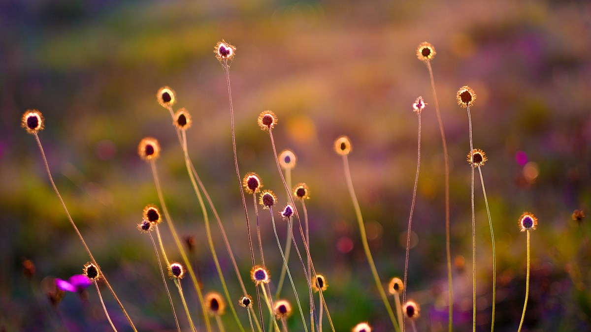 andreas,weise,fotograf,halle,fujinon,56,1.2,offenblende