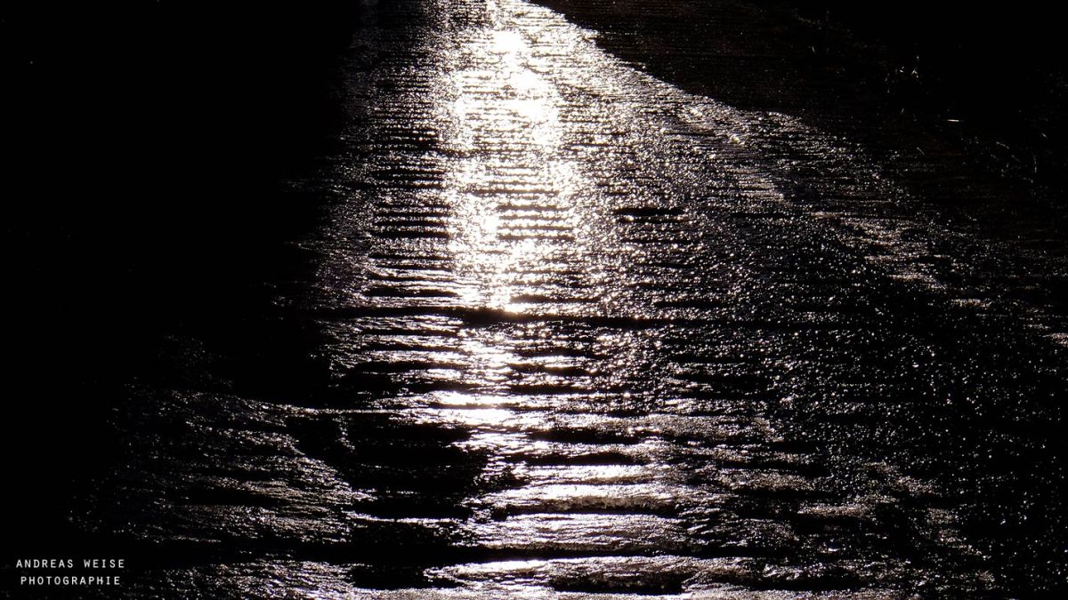 andreas,weise,fotograf,halle