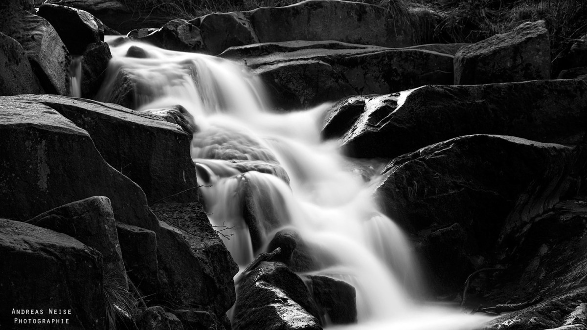 andreas,weise,fotograf,halle