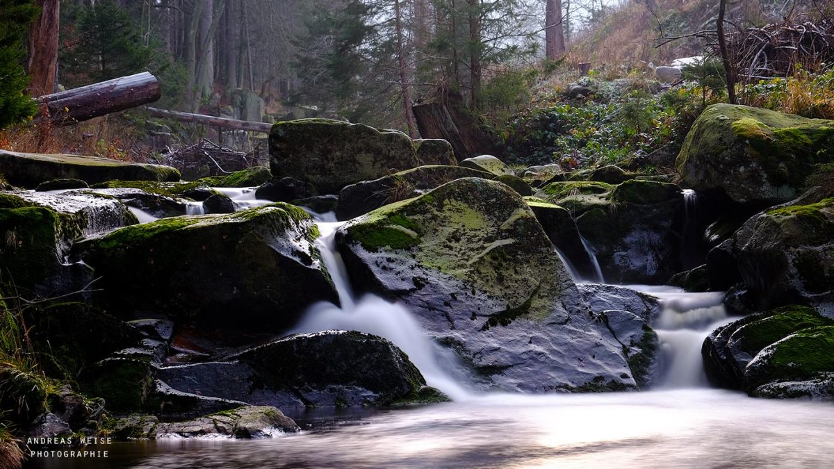andreas,weise,fotograf,halle