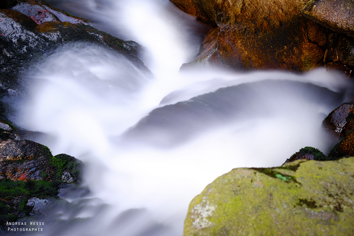 andreas,weise,fotograf,halle