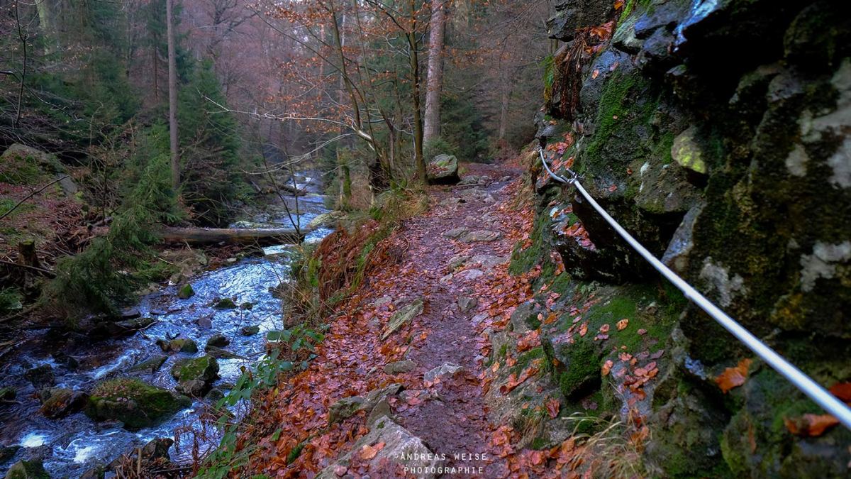 andreas,weise,fotograf,halle