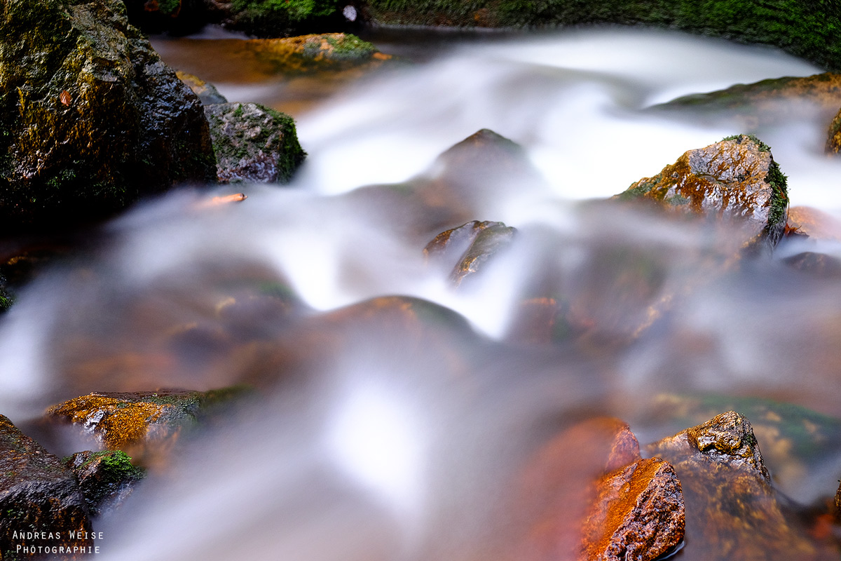 andreas,weise,fotograf,halle