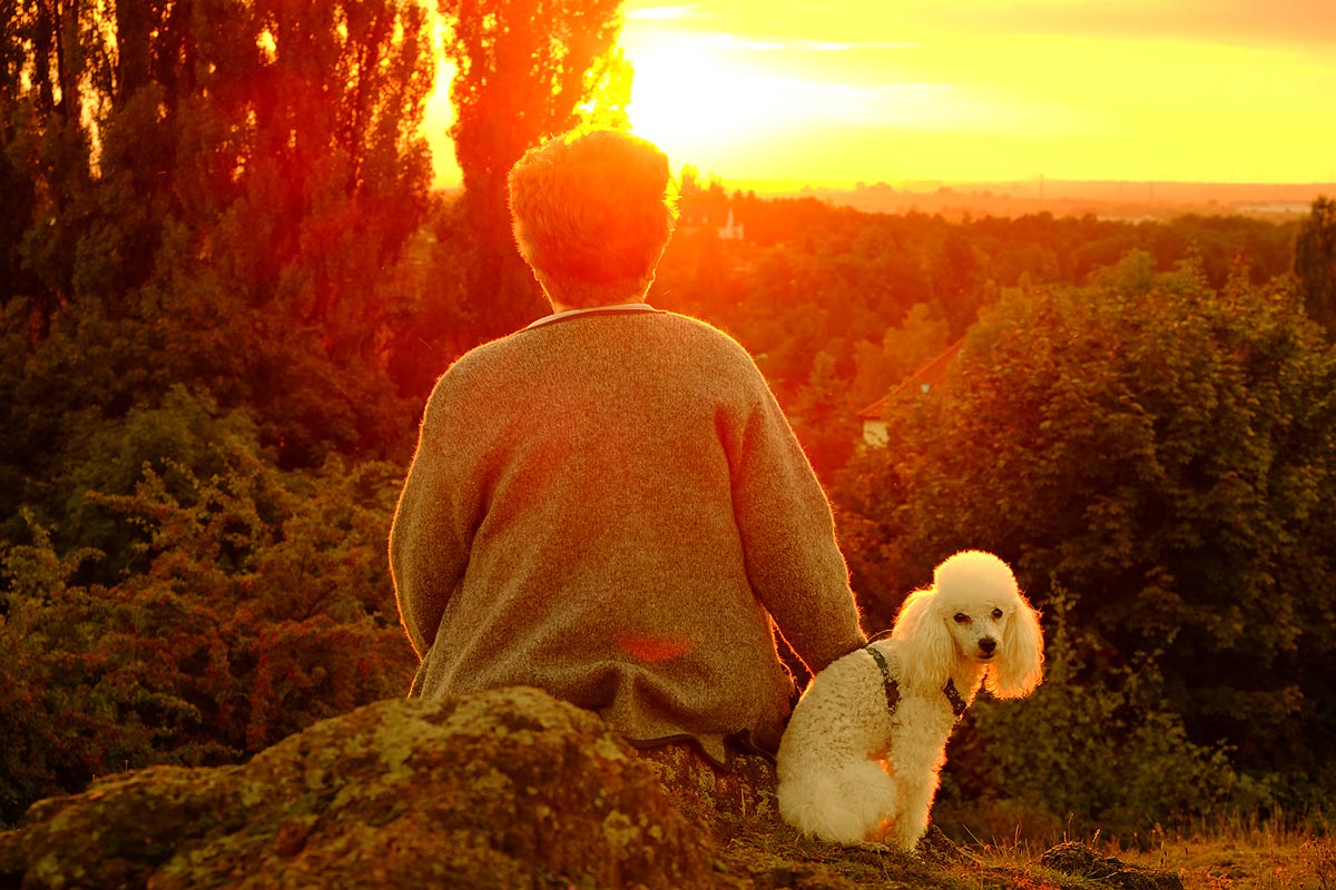 andreas,weise,fotograf,halle,saale