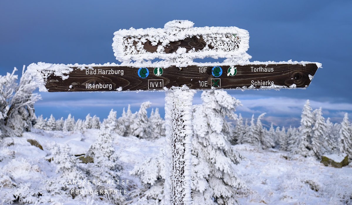 andreas,weise,fotograf,halle