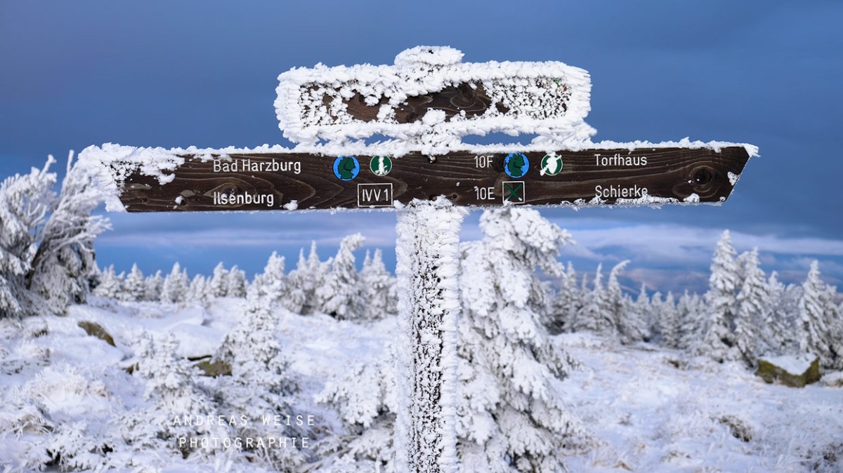 andreas,weise,fotograf,halle