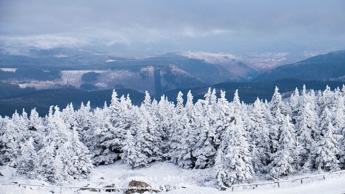 andreas,weise,fotograf,halle,saale