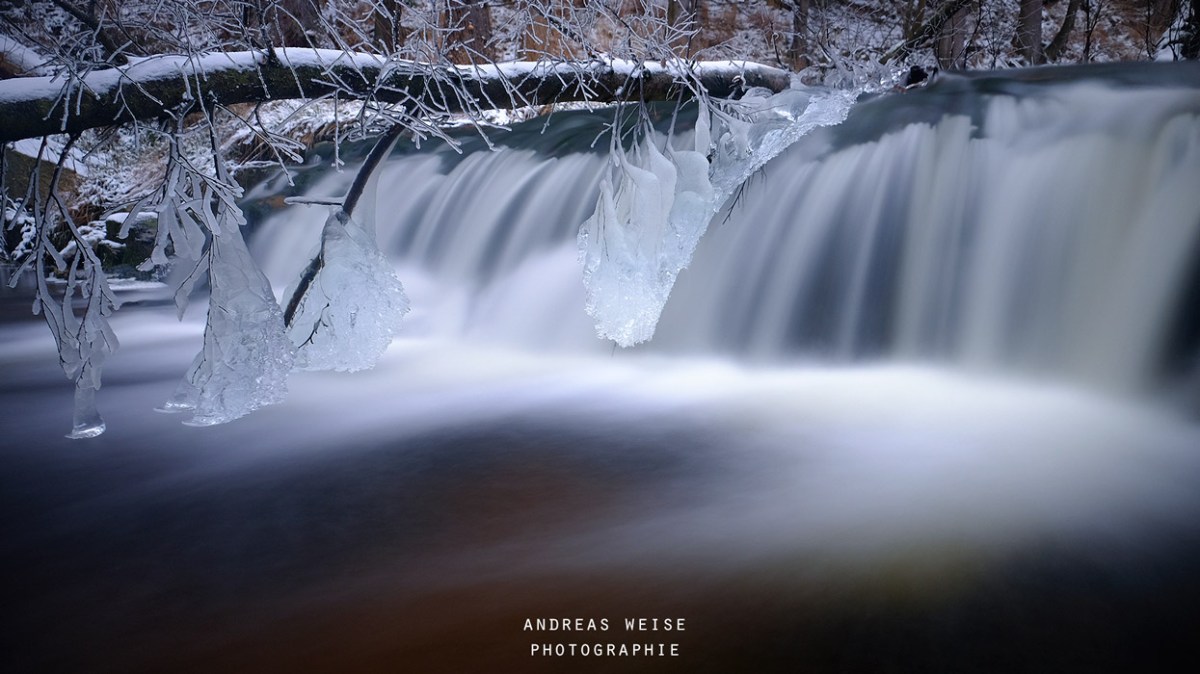 andreas,weise,fotograf,halle