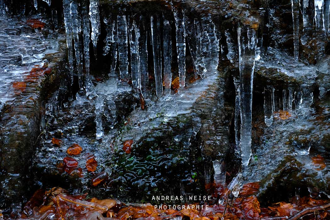 andreas,weise,fotograf,halle