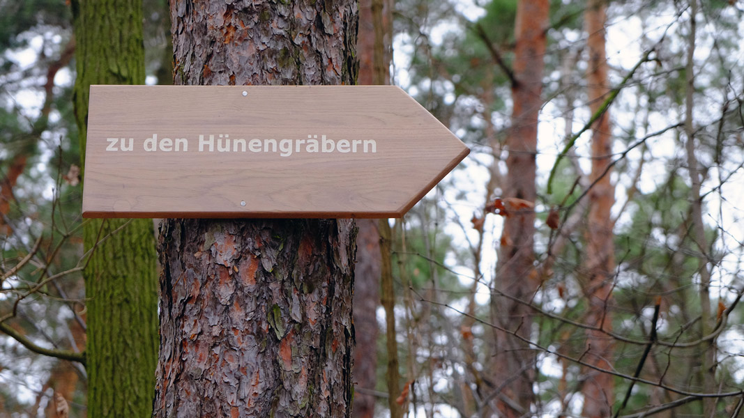 andreas,weise,fotograf,halle