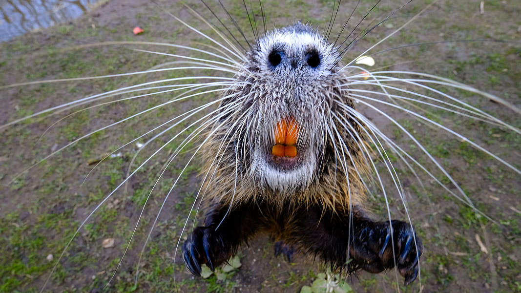 zeiss,touit 12/2.8,fuji