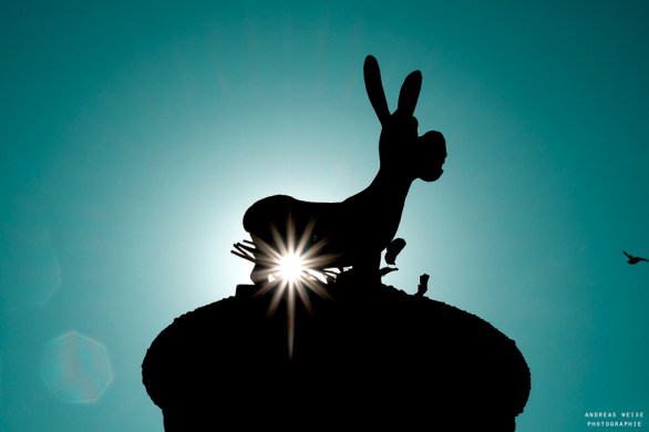 andreas,weise,fotograf,halle,saale,eselsbrunnen