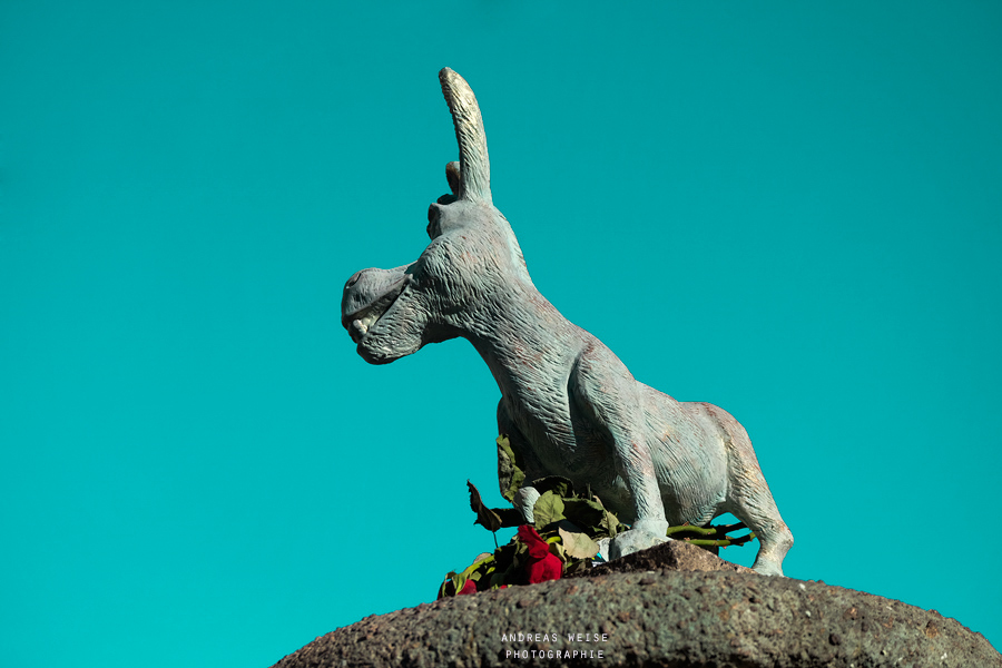 andreas,weise,fotograf,halle,saale,eselsbrunnen