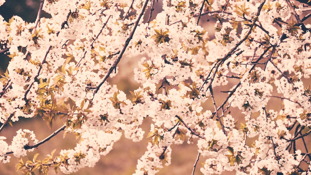 andreas,weise,fotograf,halle,saale