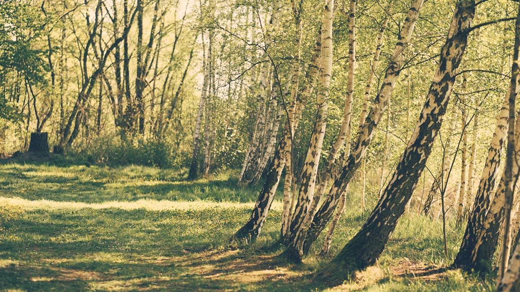 andreas,weise,fotograf,halle