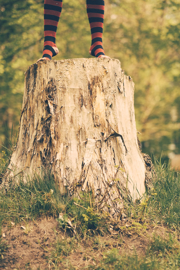 andreas,weise,fotograf,halle