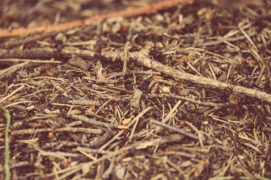 andreas,weise,fotograf,halle,maria