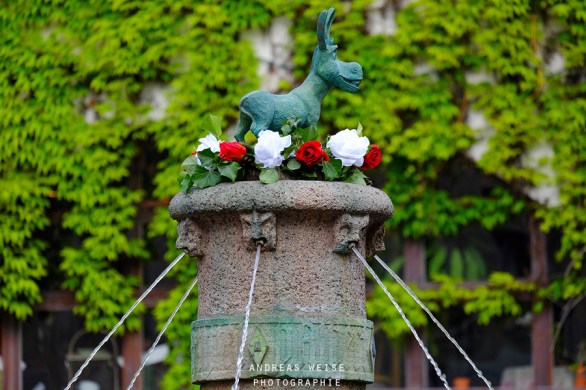 andreas,weise,fotograf,halle,esel,eselsbrunnen,foto,bild